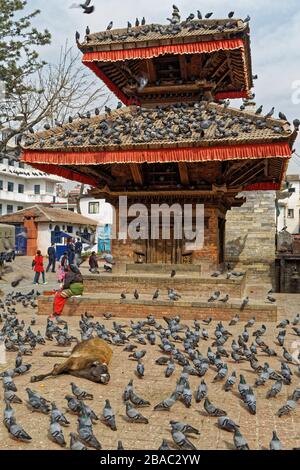 Kathmandu, Nepal. Februar 2014. Hanuman Dhoka, Durbar Square, Kathmandu, Nepal. Kredit: Bernard Menigault/Alamy Stock Photo Stockfoto