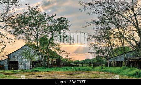 Ländliche amerikanische Küche, Alabama, Bauernscheune bei Sonnenuntergang mit Sonnenstrahlen, die durch Wolken im ländlichen Alabama, USA, kommen. Stockfoto