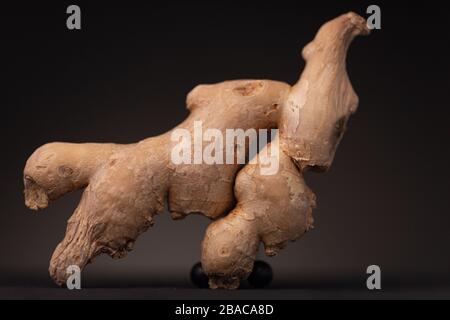 Frische Ingwerwurzel. Low Key Stillleben Studio mit essbarem Gewürz vor dunklem Hintergrund. Stockfoto