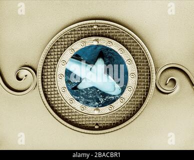 Hai im Vintage Metallic Porthole Stockfoto