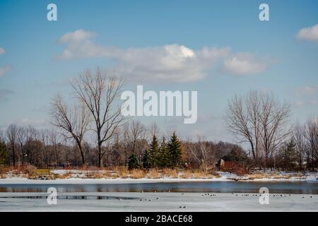 Möwen im Frühling schöner sonniger Tag Stockfoto