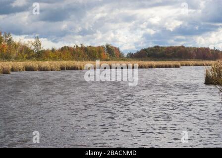 Schöne Aufnahme des Sees umgeben von getrocknetem Gras in Mer Bleu Moor Gebiet in der Nähe von Ontario, Kanada Stockfoto