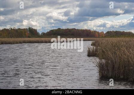 Schöne Aufnahme des Sees umgeben von getrocknetem Gras in Mer Bleu Moor Gebiet in der Nähe von Ontario, Kanada Stockfoto