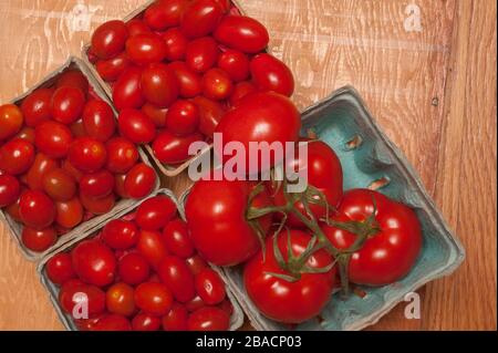 Foto im Studio oben von Trauben- und mittelgroßen Tomaten in Kästen aus Zellstofffaserbeeren. Stockfoto