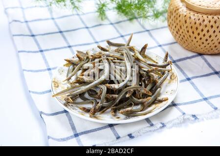 Seesilberfisch Stockfoto