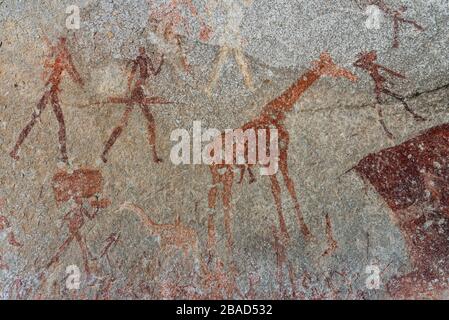 San-Rockkunst in der Silozwane Cave, Matobo-Nationalpark, Simbabwe Stockfoto