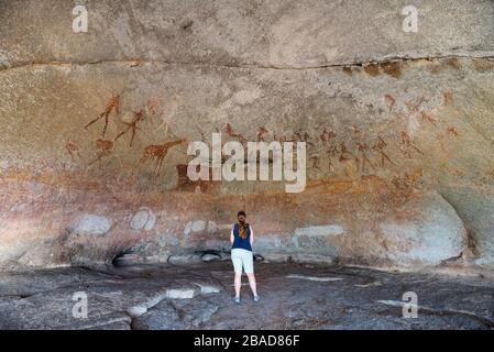 Ein Tourist bewundert die Kunst des San Rock in der Silozwane Höhle, Matobo Nationalpark, Simbabwe. Stockfoto