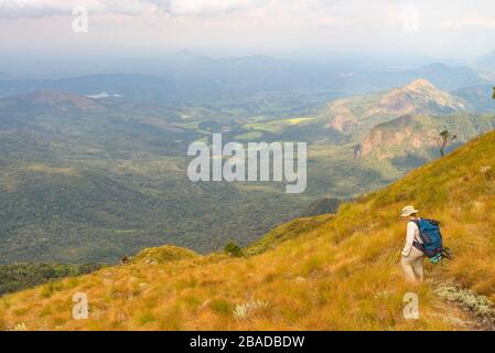 Ein Wanderer, der auf dem Turaco-Pfad in den östlichen Highlands Simbabwes zu sehen ist. Stockfoto