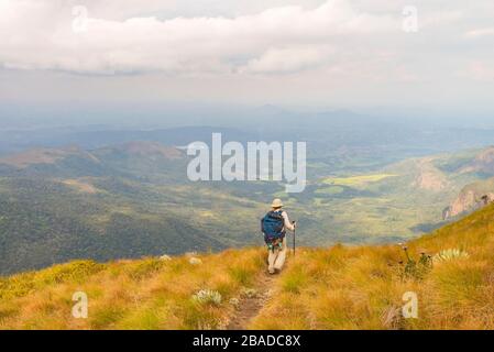 Ein Wanderer, der auf dem Turaco-Pfad in den östlichen Highlands Simbabwes zu sehen ist. Stockfoto