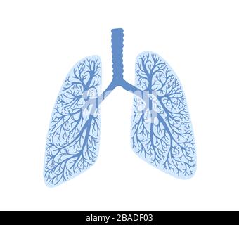 Lunge - Teil des menschlichen Körpers, des Atmungsorgans Stock Vektor