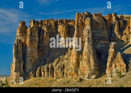 Die Palisaden von Iron Mountain in John Day Fossil Betten Nationaldenkmal, Clarno Einheit, Oregon, USA Stockfoto