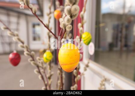 Farbige Ostereier hängen von einem Strauch aus Palmkätzchen und schmücken zu Ostern im Frühjahr einen Eingang. Stockfoto