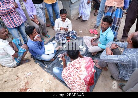 Männer, die in einem Dorf in Kumrokhali, Westbengalen, Indien Karten spielen Stockfoto