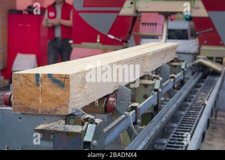 Sägewerk. Prozess der Bearbeitung Protokolle in der Ausrüstung Sägewerk Maschine Säge sägen den Baumstamm auf der Planke Boards. Sägemehl Arbeit sägen Holz Holz Holz Stockfoto