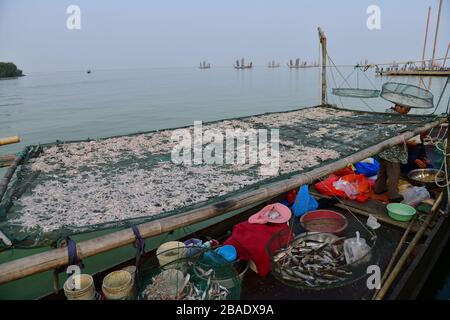 Huzhou, Tai-See, China-Oktober 2019: Traditionelles Fischerboot auf dem Tai-See (oder dem Taihu-See) einer der größten Süßwasserseen in China, nach sel vermocht Stockfoto