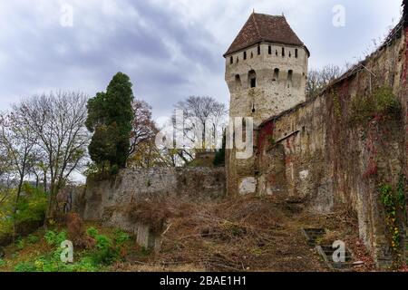 Mittelalterlichen Wänden von Sighisoara unter natürlichen Herbstfarben Stockfoto