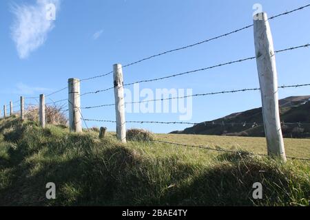 Ein Zaun auf einem Grashügel Stockfoto