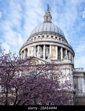 St Pauls Cathedral Dome London, Großbritannien Stockfoto