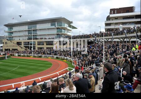 Auf der Rennbahn Cheltenham versammeln sich Menschenmassen zum Festival of Racing 2020, einem der letzten großen öffentlichen Treffen unter der Wolke des Coronavirus Covid-19 Stockfoto