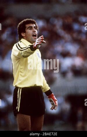 Peter Shilton, England Torhüter Stockfoto