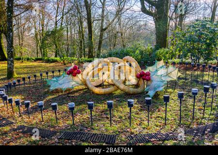 Ein "Five Gold Rings"-Winterkunstwerk auf dem Gelände des Stourhead House als Teil ihrer Weihnachtsattraktionen, Wiltshire, England, Großbritannien Stockfoto