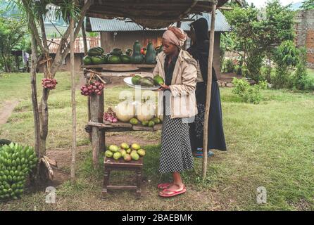 Kasese, Uganda - 22. Juli 2011: Zwei junge schwarze Frauen, die Obst auf einem Markt verkaufen oder im ländlichen Afrika stehen. Stockfoto