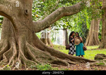 Zwei einheimische Frauen unterhalten sich unter einem Baum im Royal Botanical Gardens in der Nähe von Kandy, Sri Lanka Stockfoto