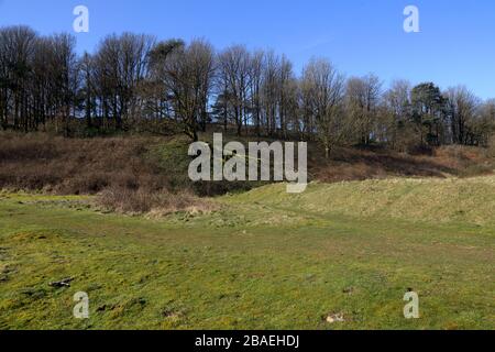 Ein sehr großer Baum mit der Hälfte des Baumes stürzte auf den Boden und sah sehr traurig und zerbrochen aus. Stockfoto