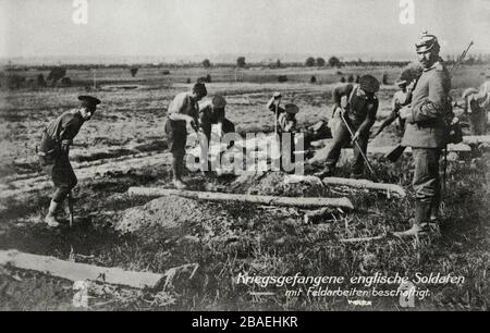 Altes Bild aus der Zeit des ersten Weltkriegs. Kriegsgefangene englische Soldaten beschäftigten sich mit Feldarbeit. Stockfoto