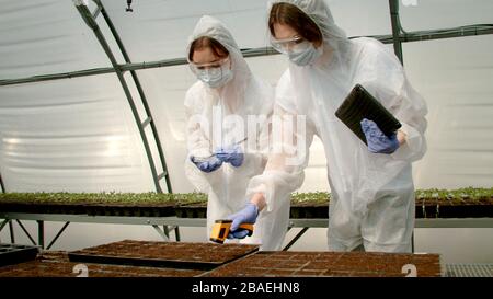 Junglandwirte Pflanzen Samen in neues Gewächshaus Stockfoto