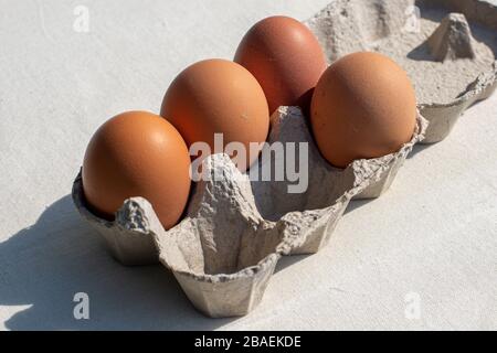 Vier Eier der freien Strecke in einem Eierkarton Stockfoto