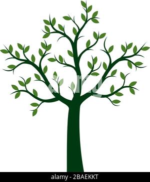 Grüner Baum und Blätter. Vektorgrafiken. Stock Vektor