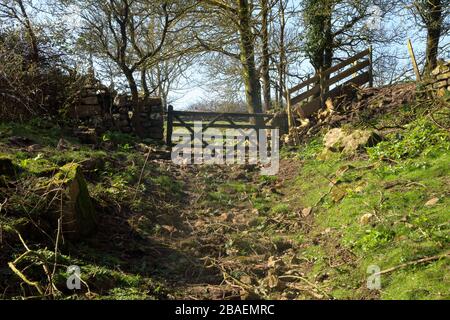 Ein hölzernes Fünf-Bar-Tor am Ende einer wirklich rauhen Stoney-Strecke, die vom gemeinen auf ein Feld führt, das offensichtlich von Pferdefahrern benutzt wird Stockfoto