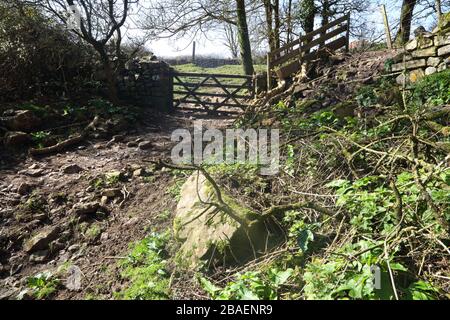 Ein hölzernes Fünf-Bar-Tor am Ende einer wirklich rauhen Stoney-Strecke, die vom gemeinen auf ein Feld führt, das offensichtlich von Pferdefahrern benutzt wird Stockfoto