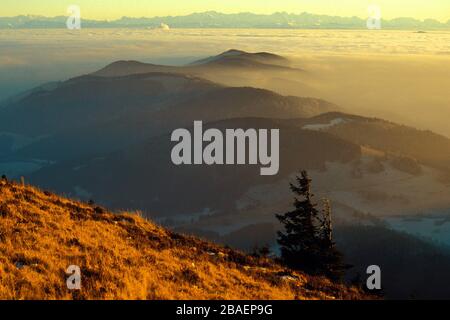 Nebelstimmung im Schwarzwald/Nebel im Schwarzwald Alpensicht von Belchen/Blick vom Belchen Stockfoto