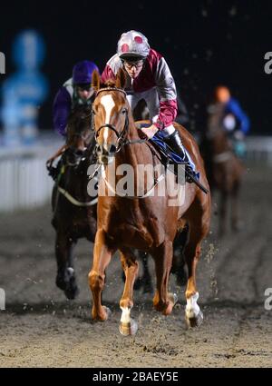 Tropen, die von Jim Crowley Gewinnern des Betdaq Casino Games Maiden Stakes geritten wurden Stockfoto