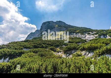 Wundervolle Wanderung auf den Salzburger Hochthron über Thomas-Eder-Steig im Berchtesgadener Land Stockfoto