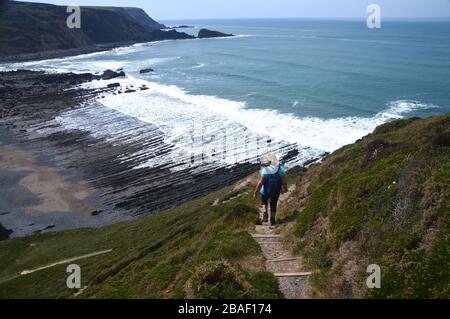 Lone Woman Hiker, der auf dem South West Coastal Path, North Devon, England, Großbritannien, den Weg hinunter zur Welcombe Mouth führt Stockfoto