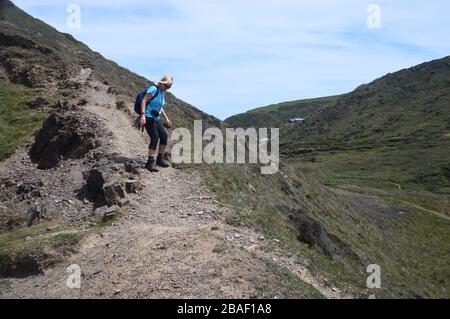 Lone Woman Hiker, die auf dem South West Coastal Path, North Devon, England, in einem steilen, erodierten Weg zur Welcombe Mouth spazieren gehen Stockfoto