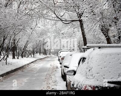 Starker Schneefall, überflutet den Hof und die Autos, alle mit Schnee bedeckt, der Verkehr wurde gestoppt Stockfoto