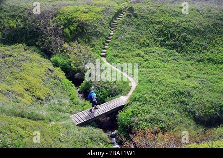 Lone Woman Hiker, die in kleiner Öffnung über die Holzfußbrücke in der Nähe von Marsland Cliff auf dem South West Coastal Path, North Devon, England, Großbritannien spazieren geht Stockfoto