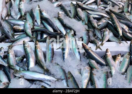 Frische Fische auf dem Markt in der historischen Havra-Straße, Kemeralti, Izmir, Türkei. Stockfoto