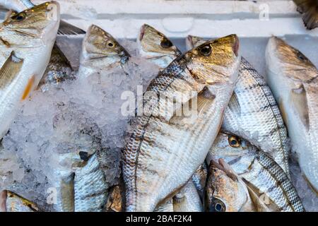 Frische Fische auf dem Markt in der historischen Havra-Straße, Kemeralti, Izmir, Türkei. Stockfoto