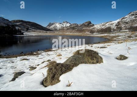 Blea Tarn im Winter, The Langdales, Lake District National Park, Großbritannien. Stockfoto