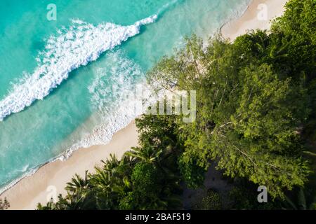 Von oben aus der Drohne blickt man auf türkisfarbene Wellen, die weißen Sandstrand mit tropischem Walddach waschen, Anse Lazio, Praslin, Seychellen Stockfoto