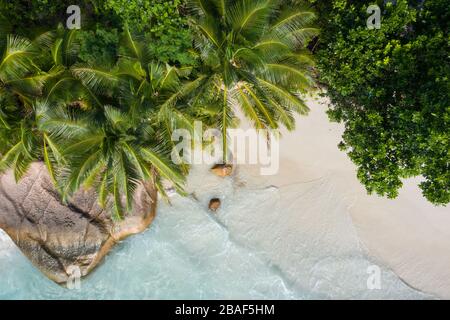 Blick von oben auf große rosa Granitblöcke mit Palmen am tropischen Strand, Anse Source d'Argent, La Digue, Seychellen Stockfoto