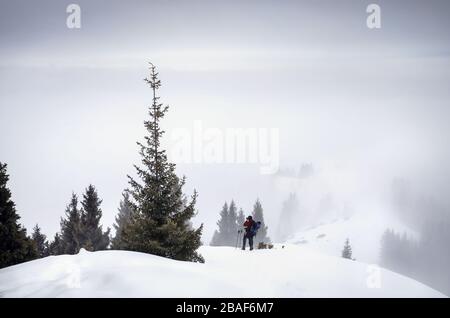 Touristen-Fotografen im Winter Berglandschaft mit Bäumen am nebligen Tag Stockfoto