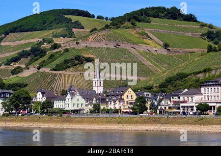 Deutschland, Rheinland-Pfalz, Rheintal ein UNESCO-Weltkulturerbe, Dorf Assmanshausen Stockfoto