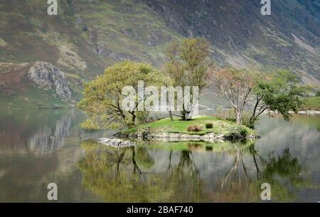 Crummock Water Island mit Reflexionen Stockfoto