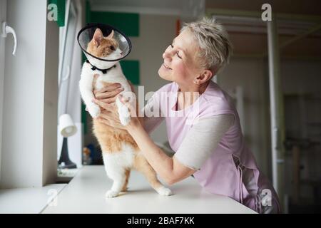 Lächelnde reife Frau, die die Katze im Kragen in den Händen hält, kommuniziert mit ihr und liebt sie Stockfoto
